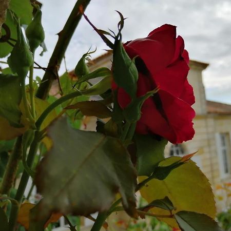 Domaine Du Chauvet 호텔 Sainte-Eulalie  외부 사진